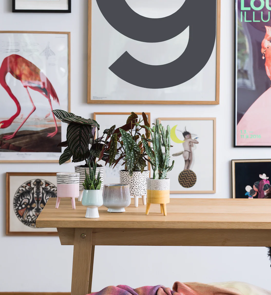 Bahne Ceramic Flower Pot Rose - Image 3