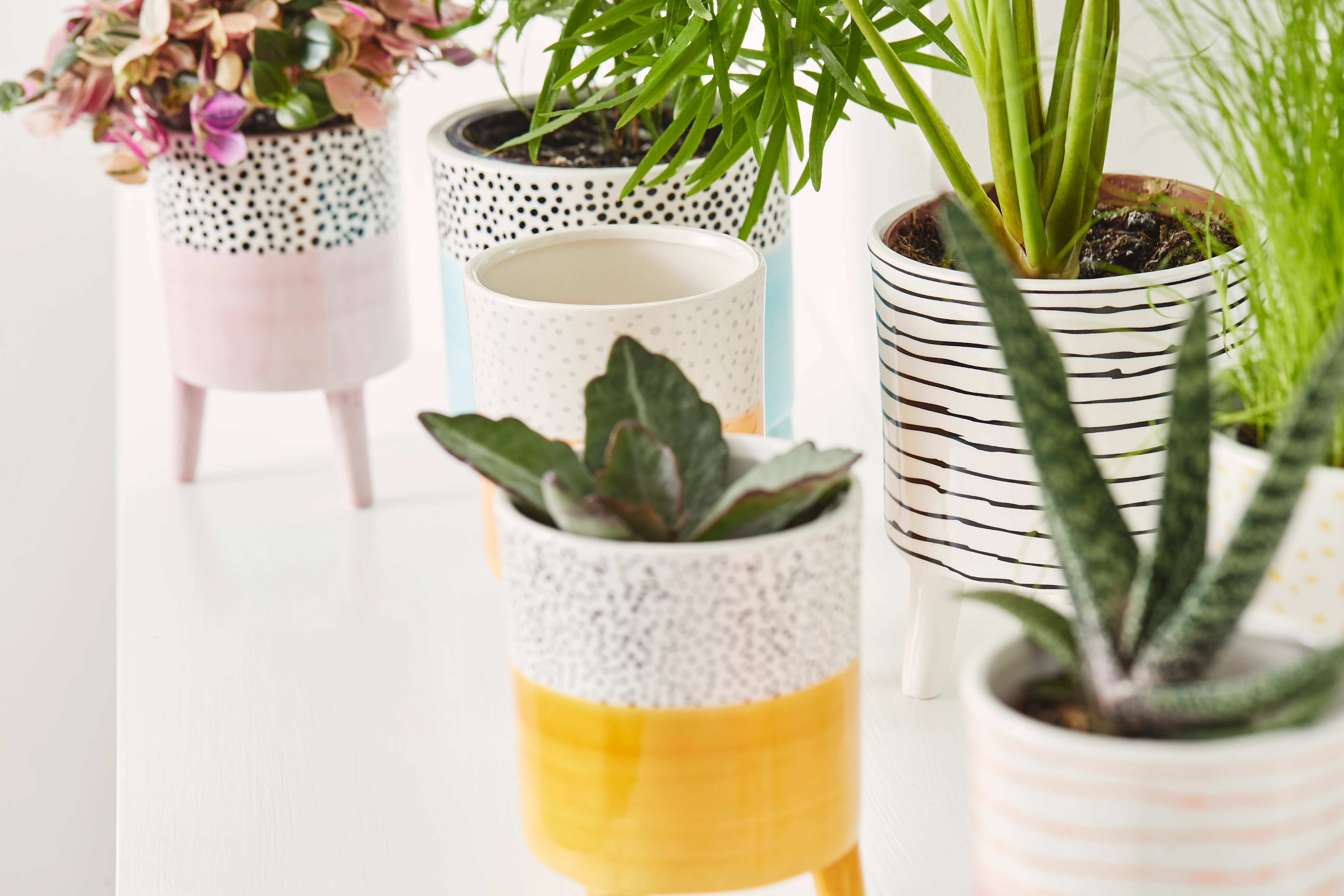 Bahne Ceramic Planter Orange Stripes - Image 5
