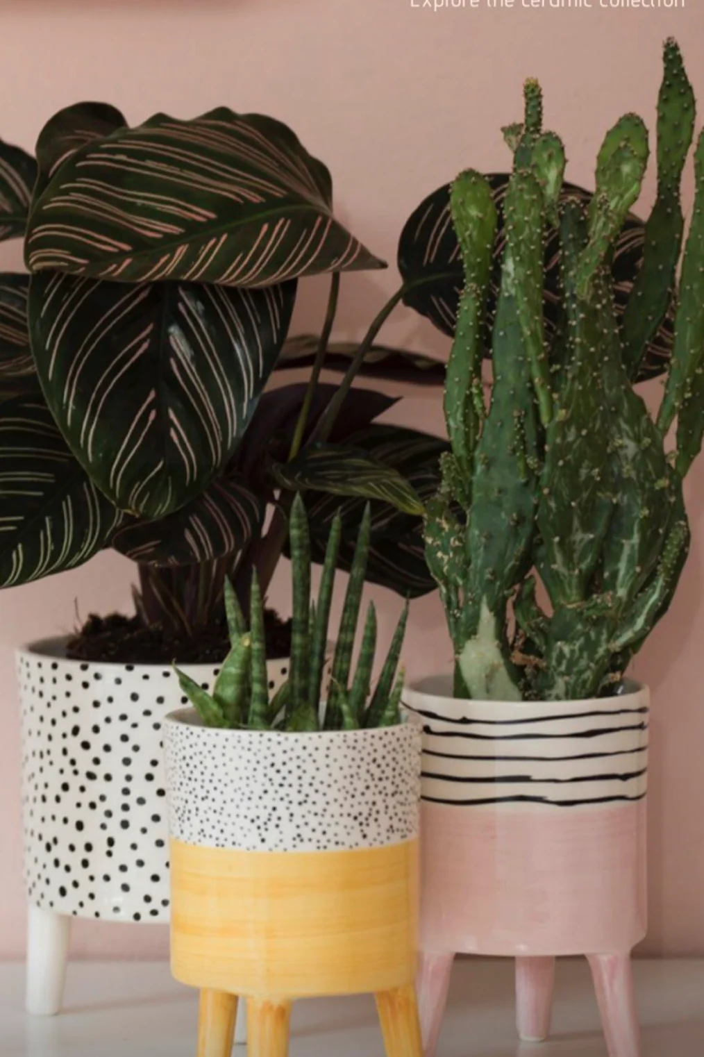 Bahne Ceramic Planter Spotty Yellow - Image 5