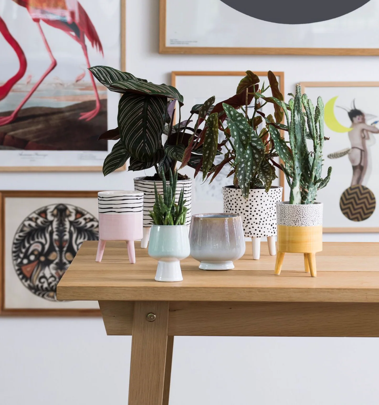 Bahne Ceramic Planter Stripes - Image 4