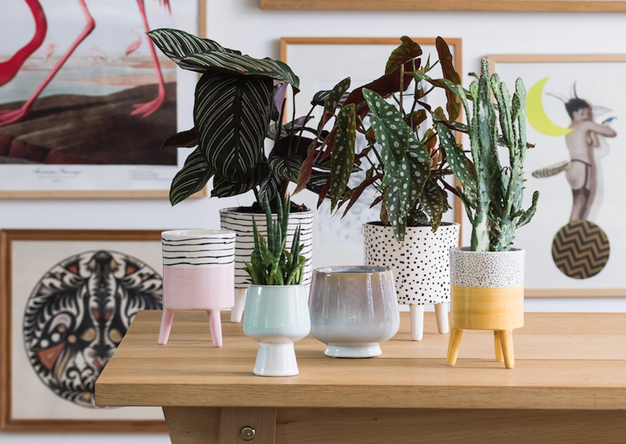 Bahne Ceramic Planter Stripes - Image 5