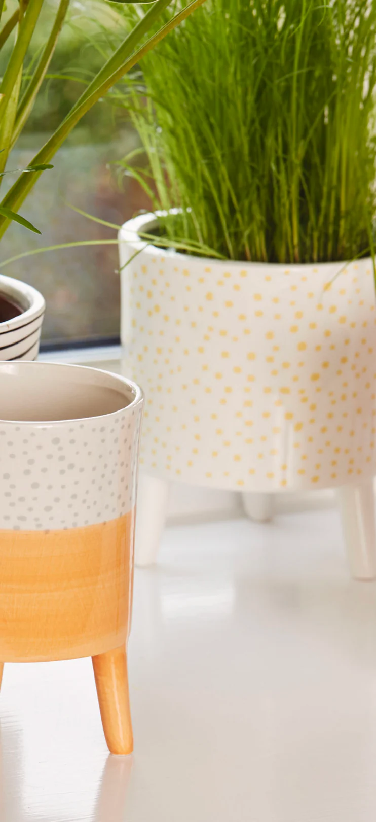 Bahne Ceramic Planter Pale Yellow Dots - Image 4