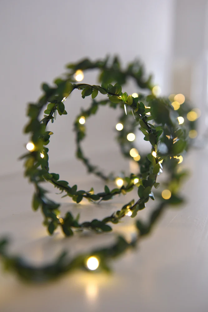 Greenery LED Fairy Light (Battery Operated) - Image 5