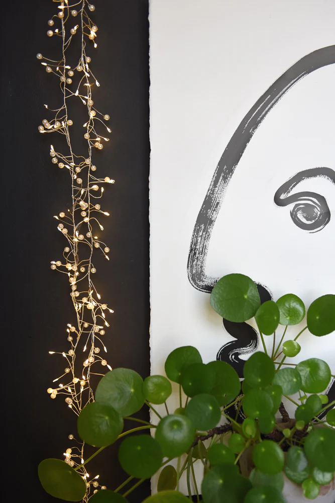 Pearl Cluster LED Fairy Lights ( Mains Powered) - Image 3