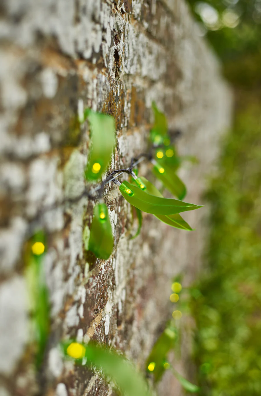 Solar powered Leaf Fantasy LED Fairy light - Image 9