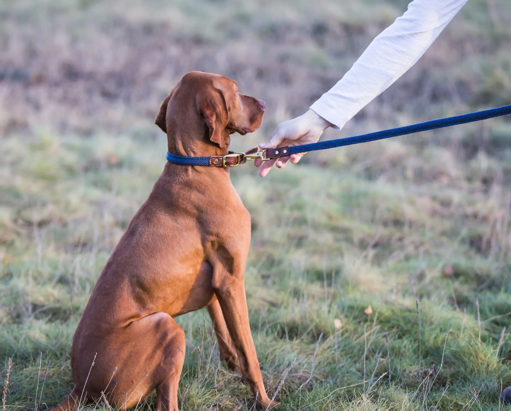Tweedmill Rolled Tweed Dog Collar, Navy Blue - Image 5