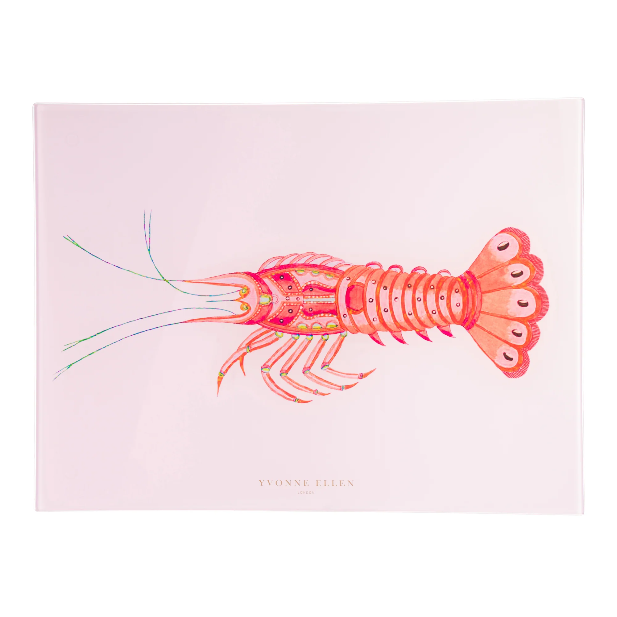 Yvonne Ellen Glass Worktop Saver, Lobster - Image 4